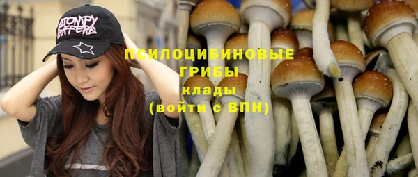 соль курить ск Гусев