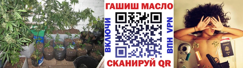 omg ссылки Печора Дистиллят ТГК гашишное масло