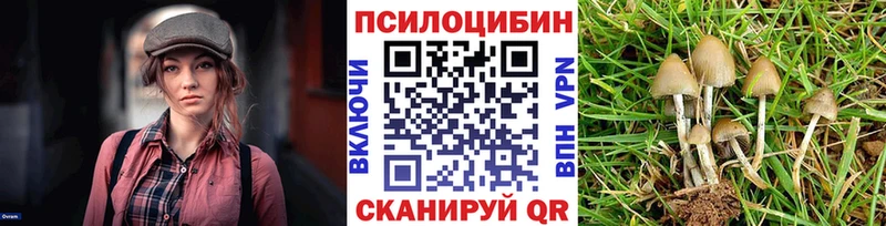 Псилоцибиновые грибы Cubensis  дарк нет какой сайт  Печора 