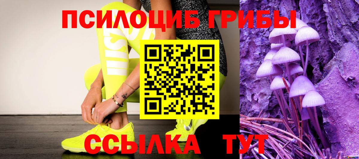 Псилоцибиновые грибы Psilocybine cubensis Печора