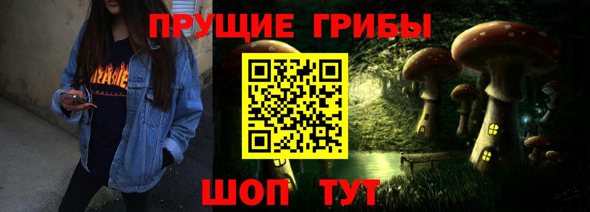 Печора  наркота  Вход с VPN  Галлюциногенные грибы Psilocybine cubensis 